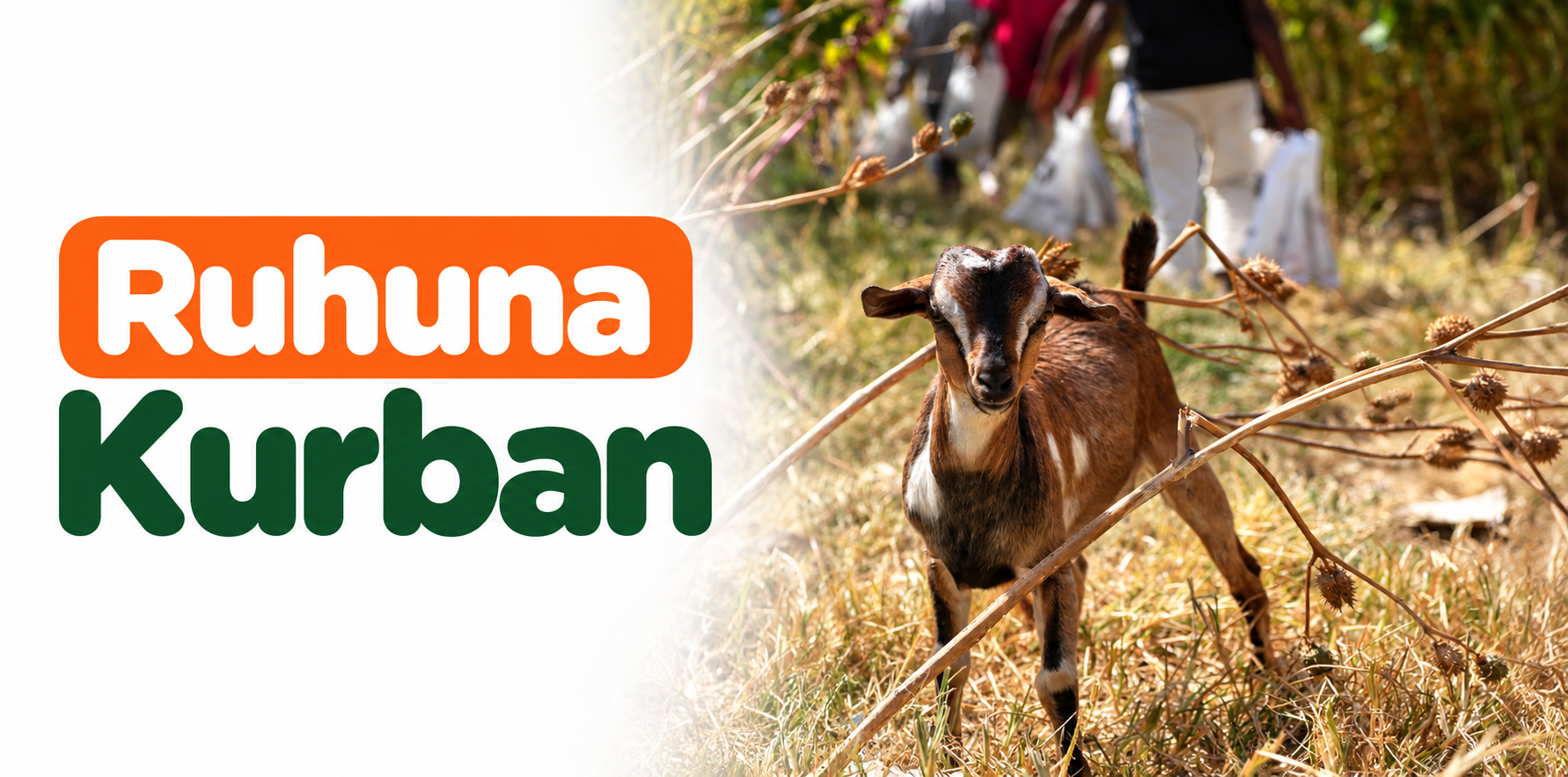 Afrika Küçükbaş Ruhuna Kurban Bağışı